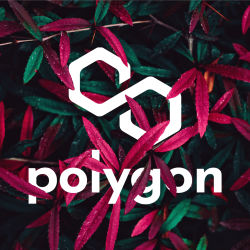 Polygon Wallpaper leaf