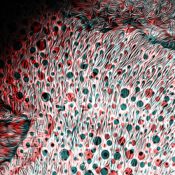 Mountain Angles #115