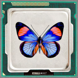 Batesia hypochlora hypoxantha