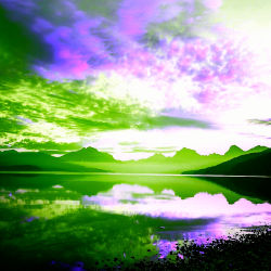 The beauty of colors #15