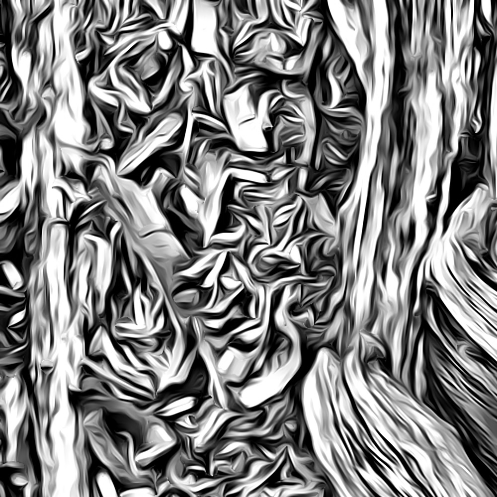 Mountain Angles #110