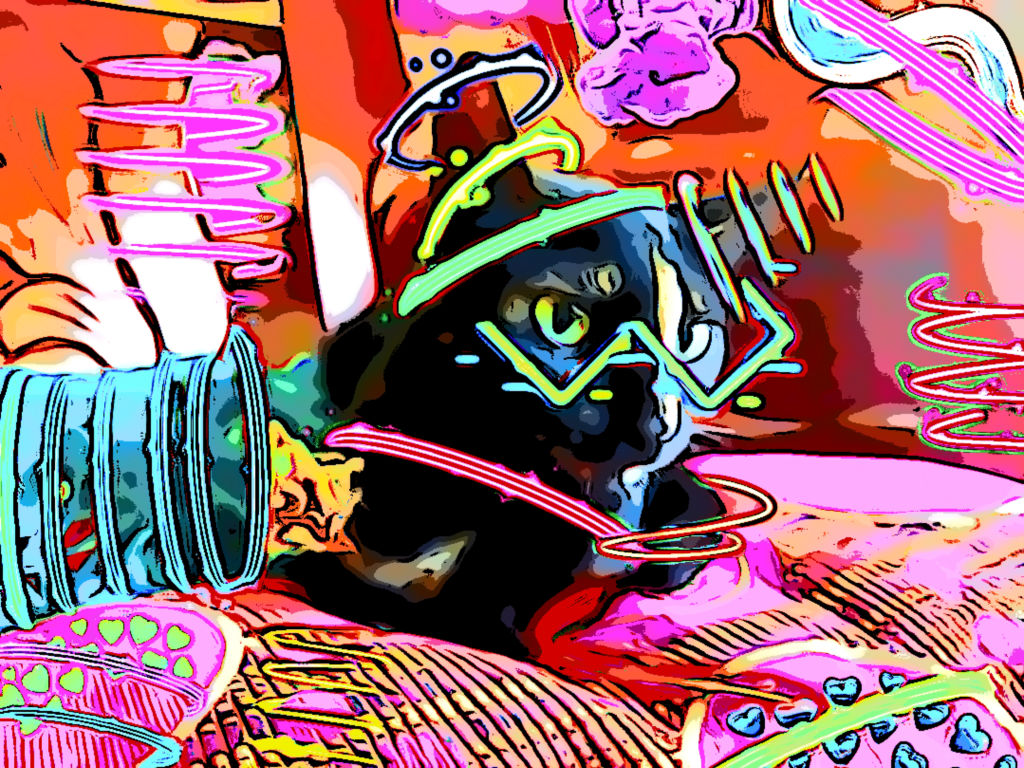 Crypto Cat 8/11 Limited