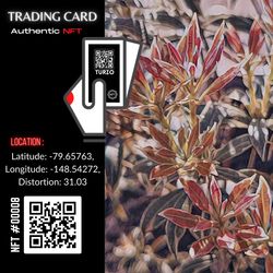 Turzo NFT CARD #00008