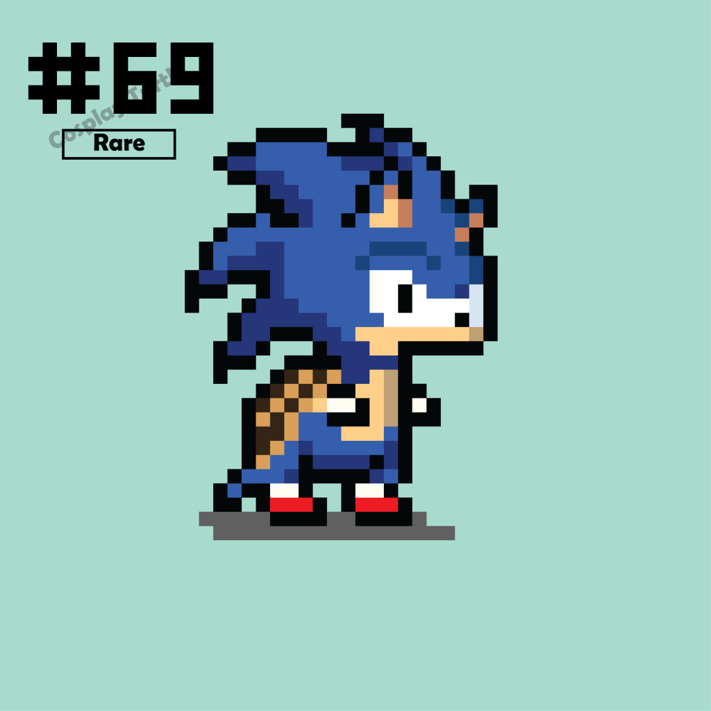 #69 'SONIC' Turtle