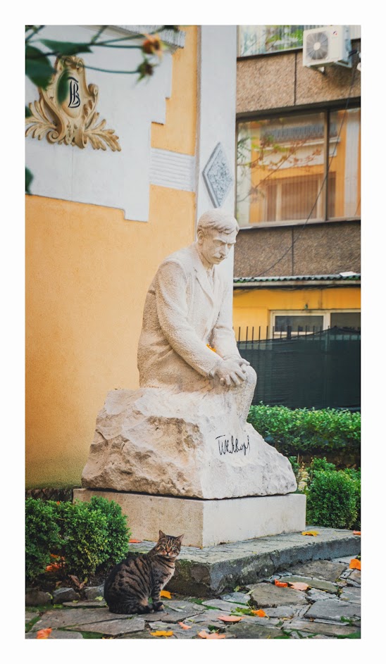 #No. 3 / Sofia / Loyal Friend 