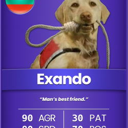 CRTC: Exando [Common]