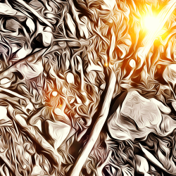 Mountain Angles #109