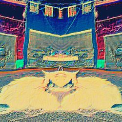 Company After Death Gen1 (NfS)