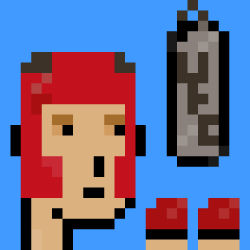 LFSE-UFC MMA FIGHTER