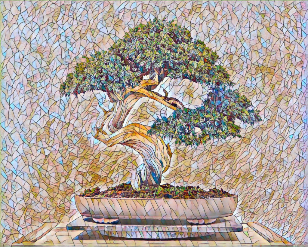 Mosaic eyes: Bonsai tree