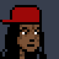 ZDG-Punks #0023/1000 LIL WAYNE