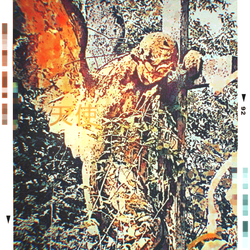 Heavenly Messenger 天使