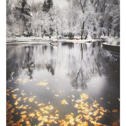 Reflections Of Autumn