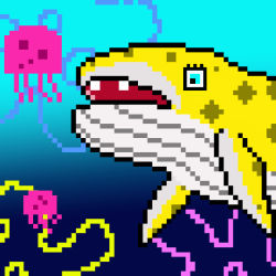 Whale Crypto #22 Sponge