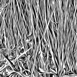 Mixed Mountain Angles #22