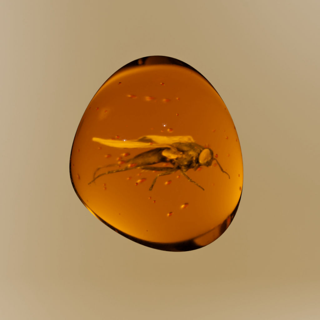 #1 CRYPTOSTONE - FLY