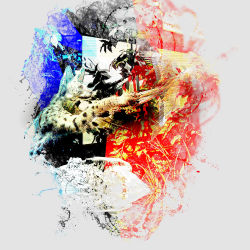 The Big Cat with Birds