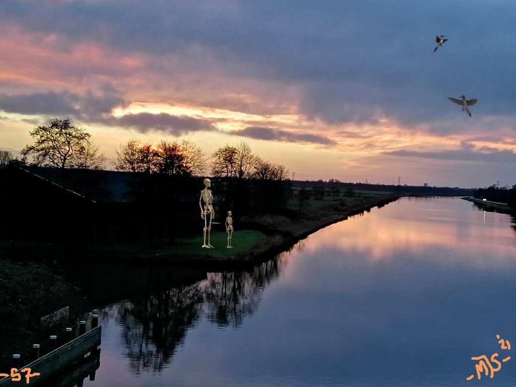 '-BLAUVERLAAT NEW YEARS DAY-' 2022