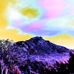 The beauty of colors #11