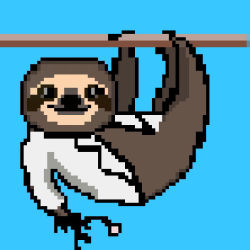 Lovely Sloth #008/999