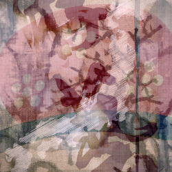 Japanese Old Style Brush Strokes