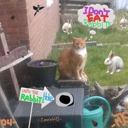 '- SNOETSSON C. BOARRE -'2022