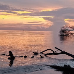 Harmony sunset beach