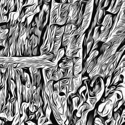 Mixed Mountain Angles #38