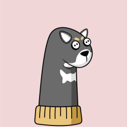#11 Kuro Shiba Sock
