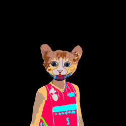 cat playing basketball