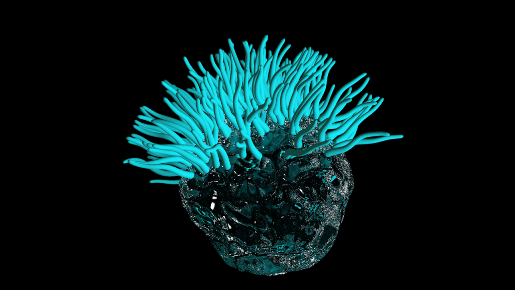 Glowing Sea Anemone #5