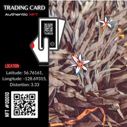 Turzo NFT CARD #00010