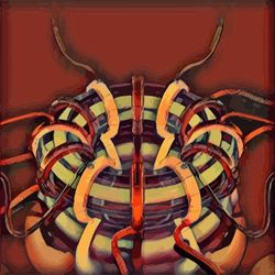 AR : b11ae0619477022ae6