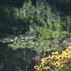 Giverny-esque Garden