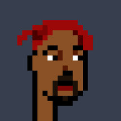 ZDG-Punks #0016/1000 Tupac Shakur