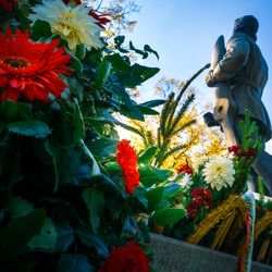 A Tribute To The Brave