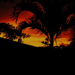 Sunset #4 Flames and Silhouettes