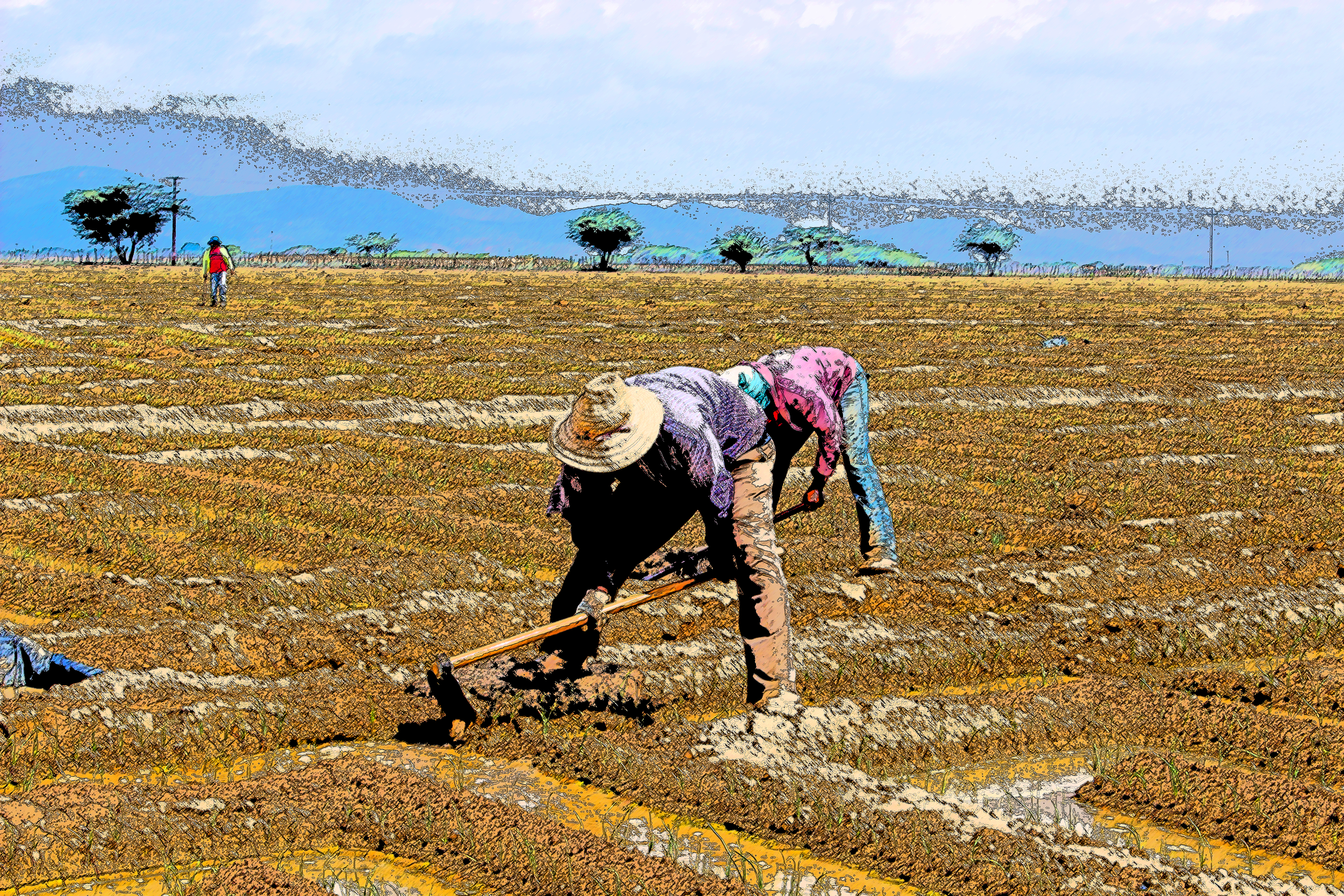 Farmers Tilling the Land
