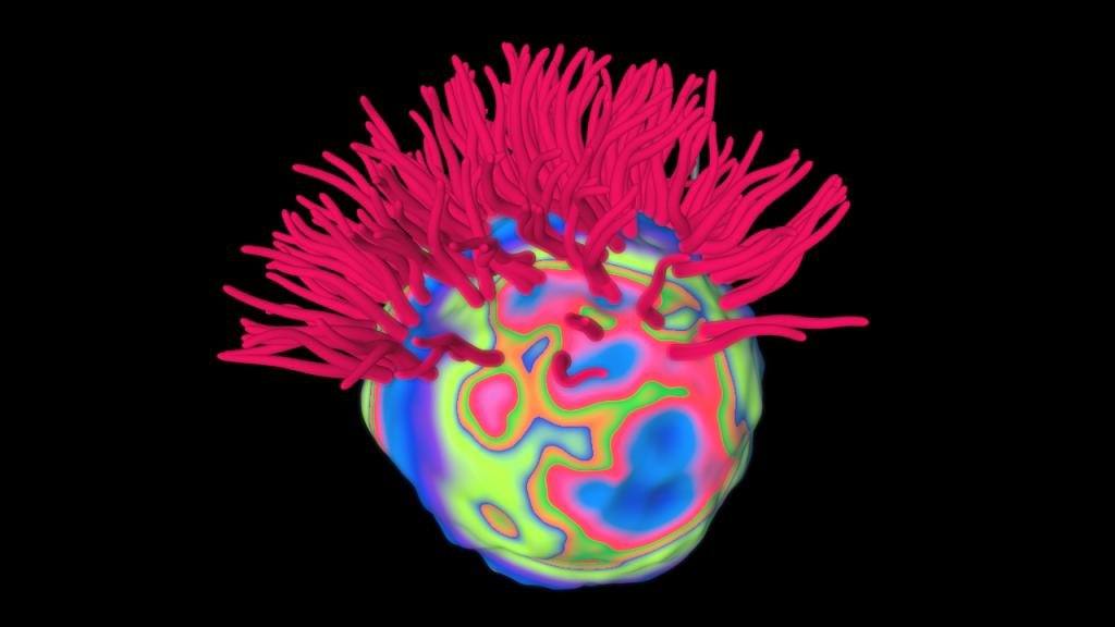 Glowing Sea Anemone - 02