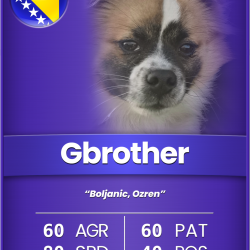 CRTC: Gbrother [Common]