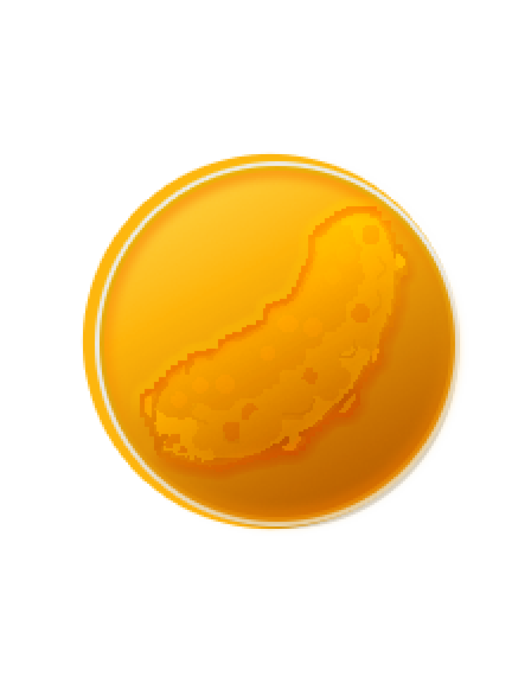 Pickle Coin v1