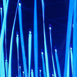 Blue Night Lights #8