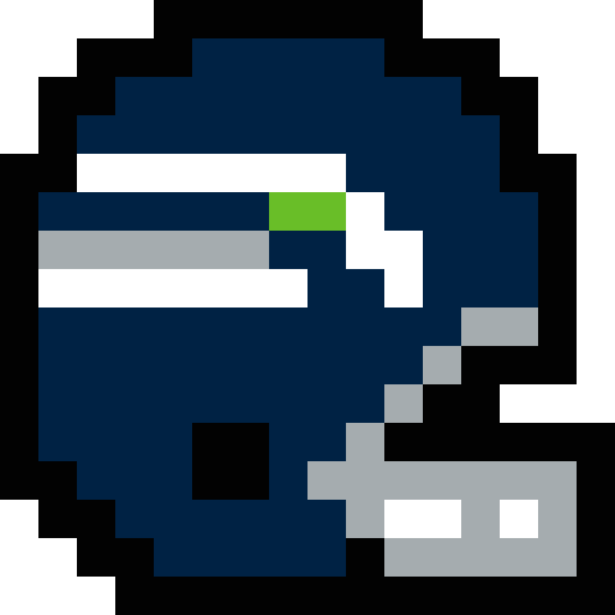 Pixel Seattle Seahawks