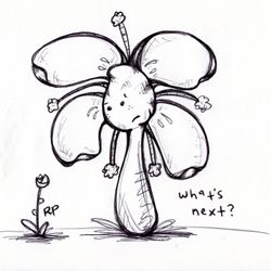 #039: "What's Next" Flowerkid