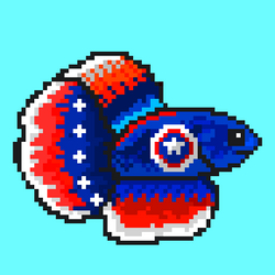 Siamese fighting fish #8