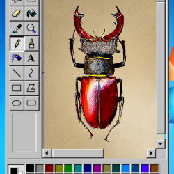 Lucanus cervus