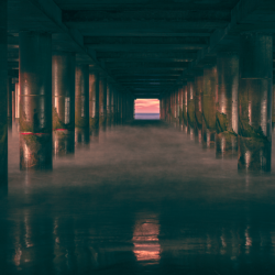 Under the Pier