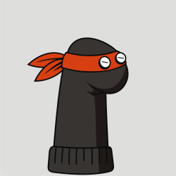 #21 Ninja Sock