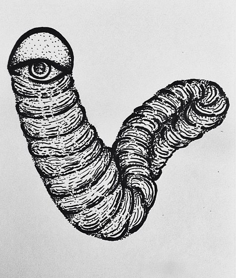 Parasite