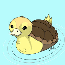 Turtle Duck